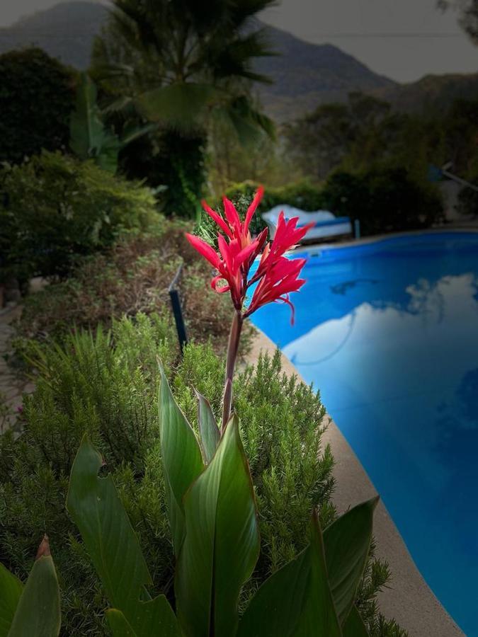 Hotel 212 Olympos Buitenkant foto
